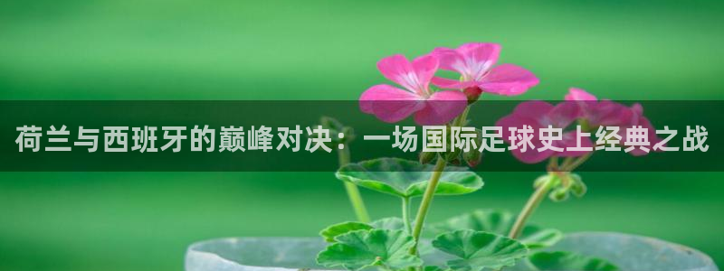 亚洲杯比赛直播:荷兰与西班牙的巅峰对决:一场国际足球史上经典之战
