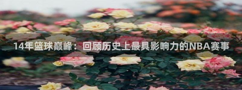 2026世界杯亚洲区预选赛赛程:14年篮球巅峰:回顾历史上最具影响力的NBA赛事
