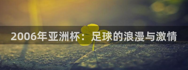 中国 世界杯:2006年亚洲杯:足球的浪漫与激情