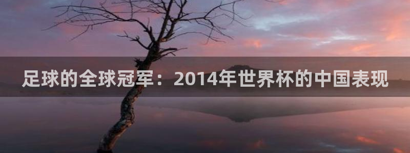 2026世界杯亚洲预选赛:足球的全球冠军:2014年世界杯的中国表现
