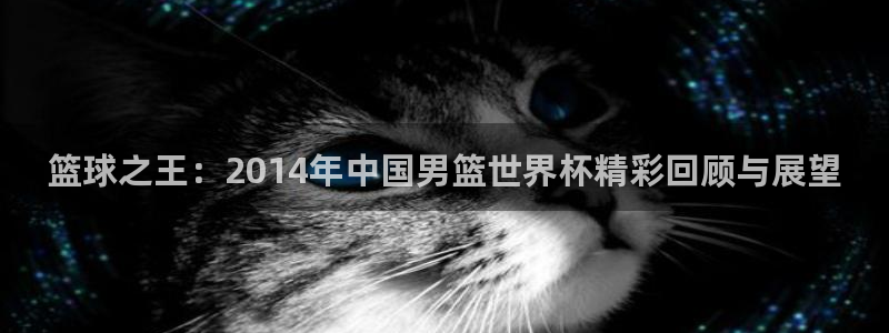 世界杯足球2026:篮球之王:2014年中国男篮世界杯精彩回顾与展望