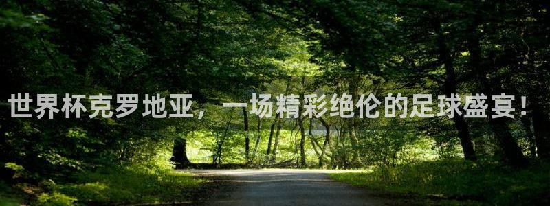 世界杯 直播:世界杯克罗地亚,一场精彩绝伦的足球盛宴!