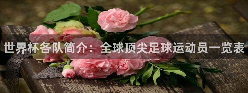 足球世界杯2026:世界杯各队简介:全球顶尖足球运动员一览表